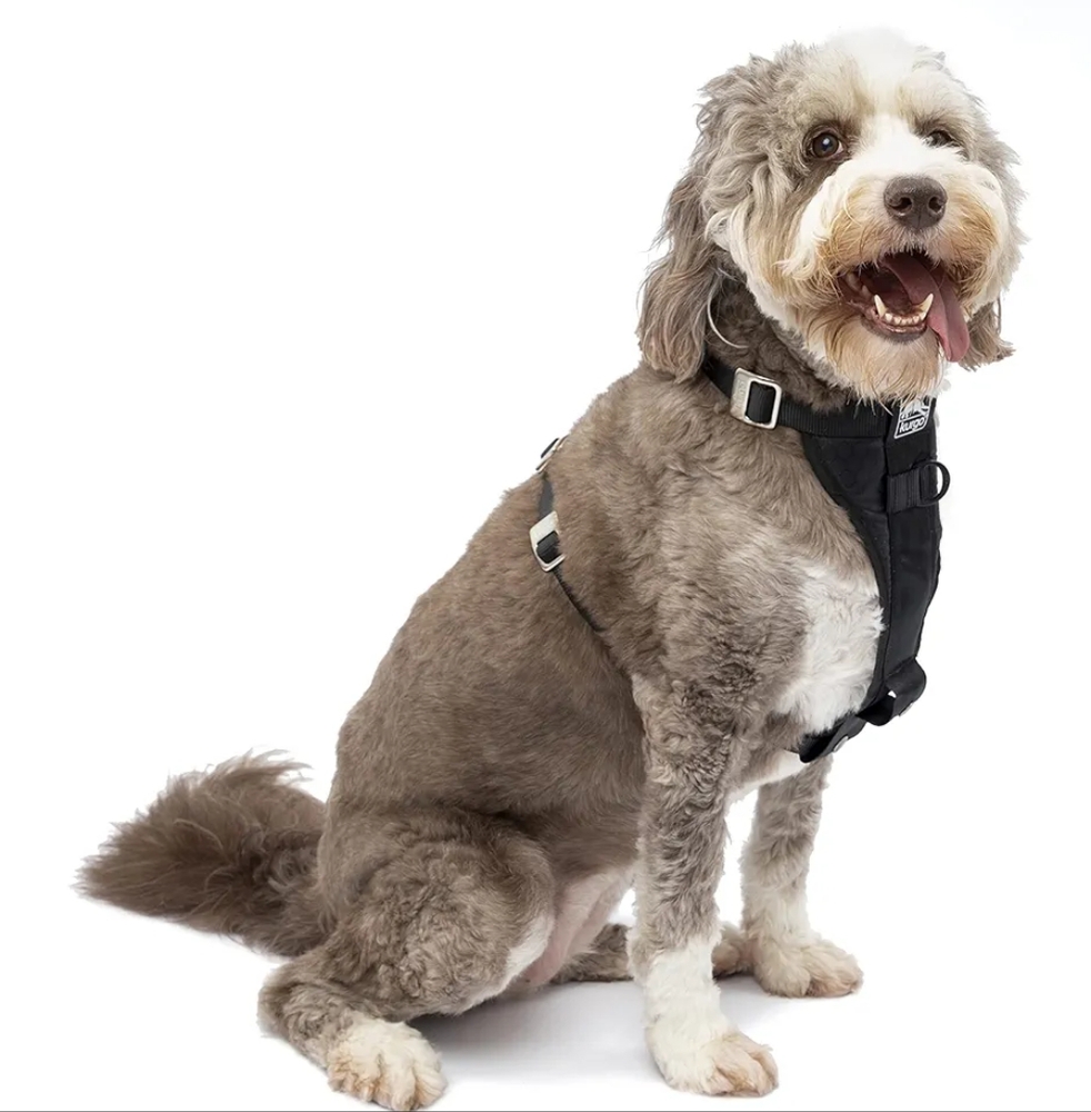 KURGO smart Dog Harness Enhanced Strength Tru-Fit Black Medium Large car collar